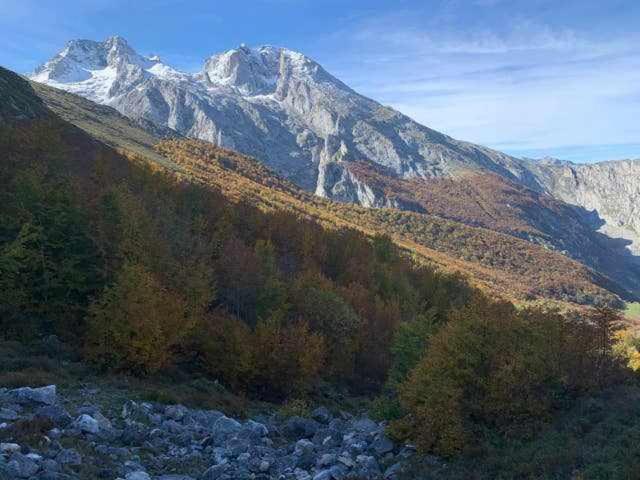 Cumbres De Los Picos Apartamento La Yedra Poo  المظهر الخارجي الصورة
